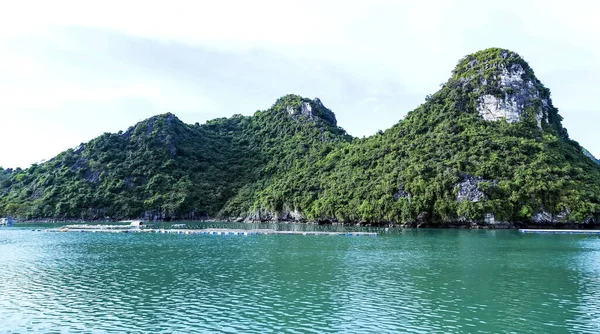 Montagne Calcaire Îles Paysage Long Bay Vietnam — Photo