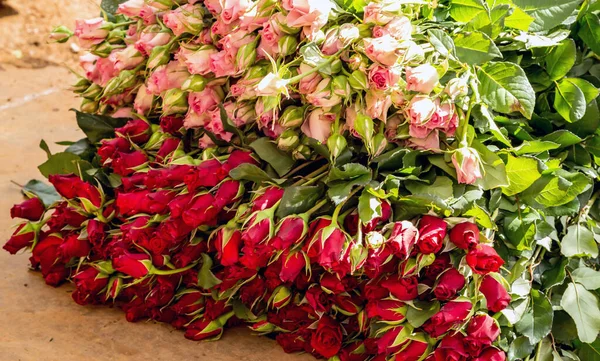 Krásné Čerstvé Kytice Květinářství Sklenících Sklizeň — Stock fotografie
