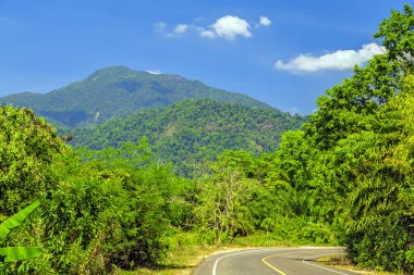 Dağların Arkaplanı Olan Tropik Orman