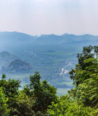 Dağları Puslu Arkaplanı Olan Tropik Orman