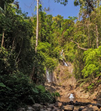 Orman arkaplan şelalesi doğa nehir tropikal. Orman manzaralı dağ manzaralı tropik yeşil bitkiler.