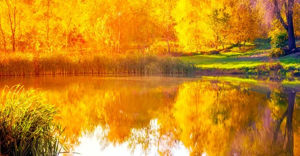 Autumn landscape. Autumn leaves view Waterfront with Sunlight alpine lake. Fall blurred background.