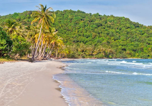 Plaża Biały Piaszczysta Bai Sao Palmy Kokosowe Wyspa Phu Quoc Zdjęcie Stockowe