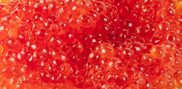 Red Caviar Salty Salmon Roe Fish Egg Food Background — Stock Photo, Image