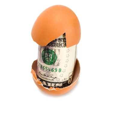 Kırık tavuk yumurtası ve dolar banknotları. Beyaz arka planda izole edilmiş.