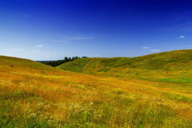 yol yeşil Hills