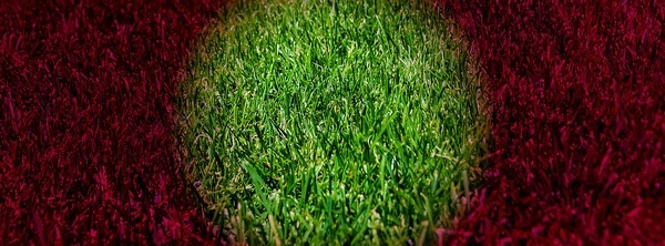 Зеленое поле от гольфа — стоковое фото