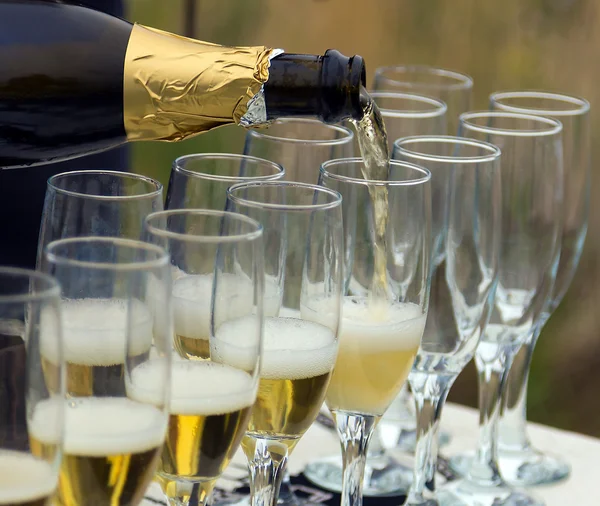 Bottle champagne — Stock Photo, Image