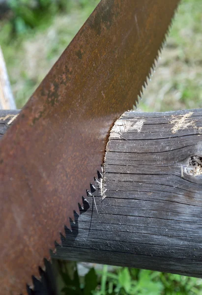 Brennholz sägen — Stockfoto