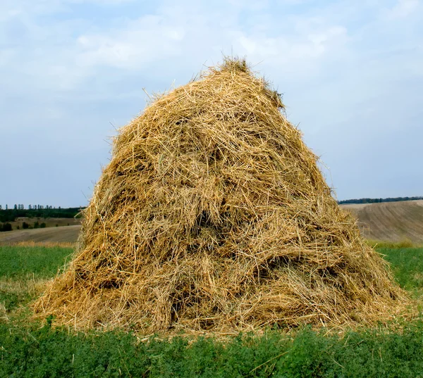 Palha de feno haystack — Fotografia de Stock