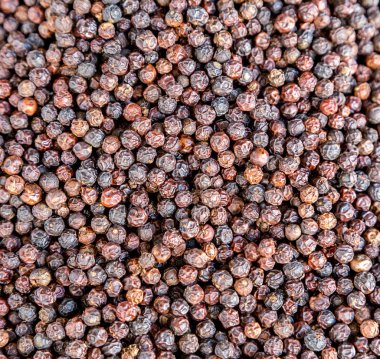 karabiber kuru biber