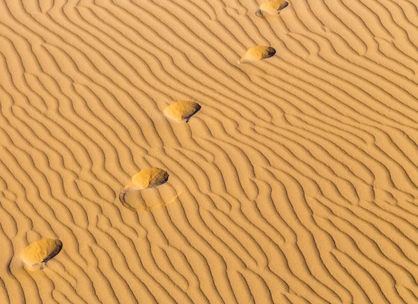 Tracce sul canto nel deserto — Foto Stock