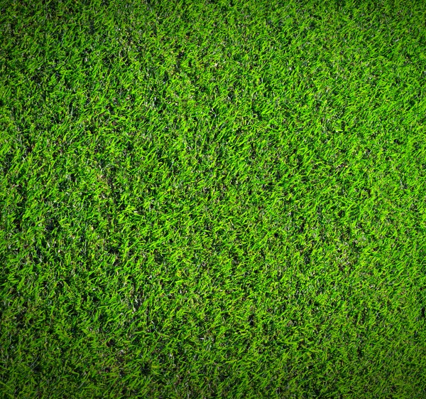 Gräs natur — Stockfoto