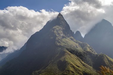 Vietnam dağ hayranları