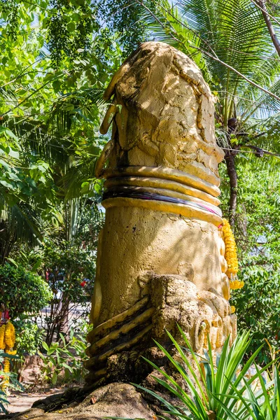 Penis Samui phallus — Stockfoto