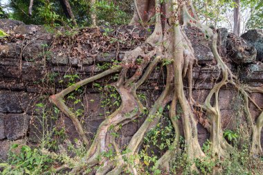 Bang antik tapınak Melea, Kamboçya