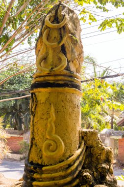 penis Samui