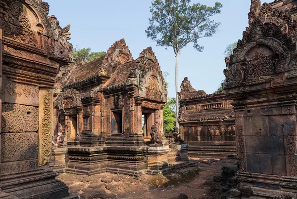 Banteai Srei, Siem Reap, Camboya —  Fotos de Stock