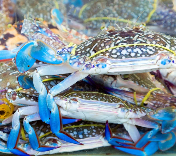 Mercado de cangrejo azul — Foto de Stock