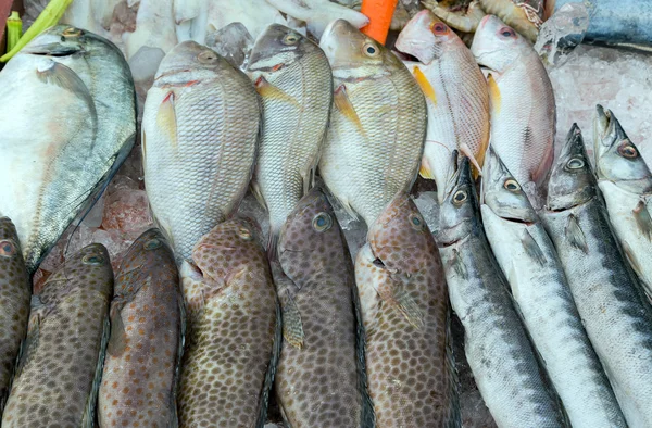 Pescado en el mercado de hielo — Foto de Stock