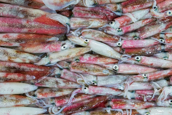 Calamar en el mercado de hielo — Foto de Stock