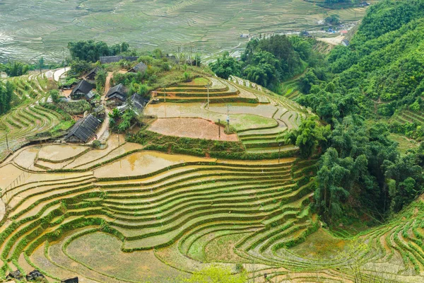 Lapangan beras teras di provinsi Sapa Lao cai utara Vietnam — Stok Foto