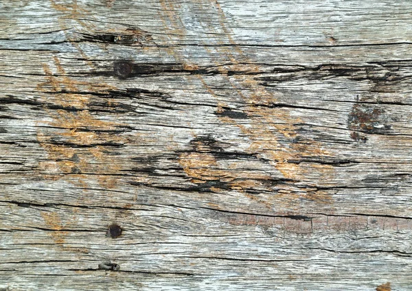 Texture background woody — Stock Photo, Image