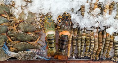 Çeşitli ıstakoz ve yengeç