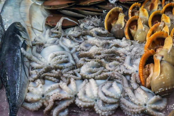 Captura fresca de pescado — Foto de Stock