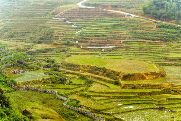 Ρύζι πεδία χωριό Sapa, Lao Cai, Βιετνάμ — Φωτογραφία Αρχείου