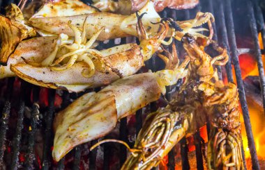 ızgara squids pişirme Barbekü Izgara.
