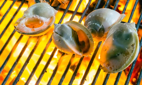 Seashells Barbecue Grill cooking seafood — Stock Photo, Image