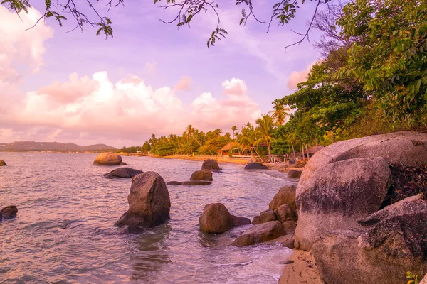 Palmeras siluetas y mar —  Fotos de Stock