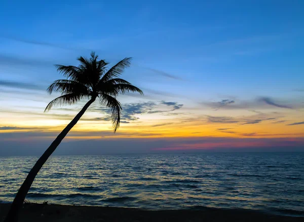 棕榈树上美丽的日落 — 图库照片