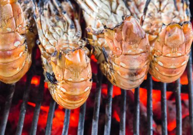 Deniz Ürünleri ıstakoz hazır