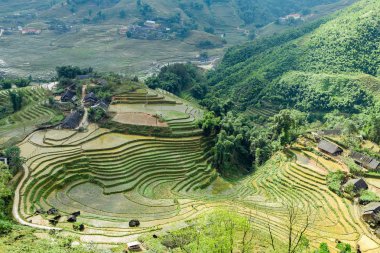 Köyün Tarım Çiftlik