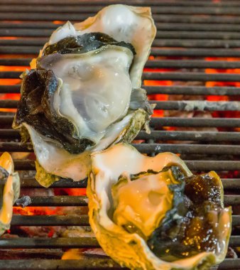 Barbekü taze deniz hayvanı kabuğu