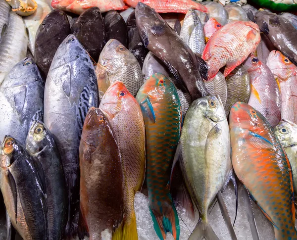 Peixes com gelo, frutos do mar — Fotografia de Stock