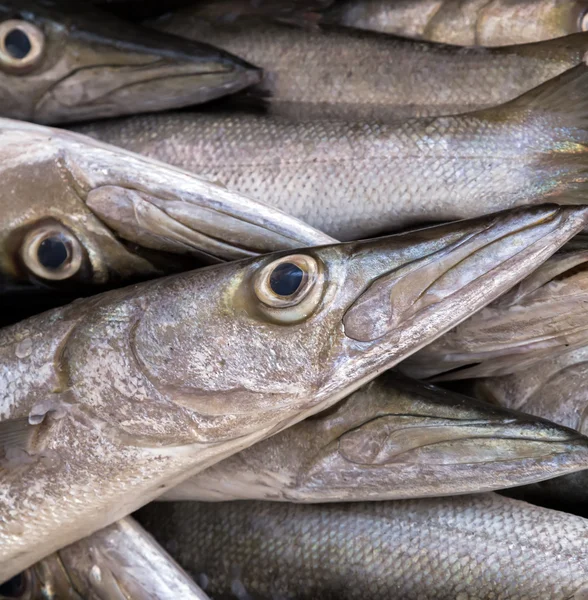 Pesce su ghiaccio esposizione mercato marittimo — Foto Stock