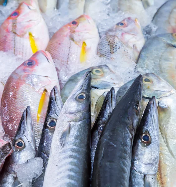 Fish on ice exposition sea market — Stock Photo, Image