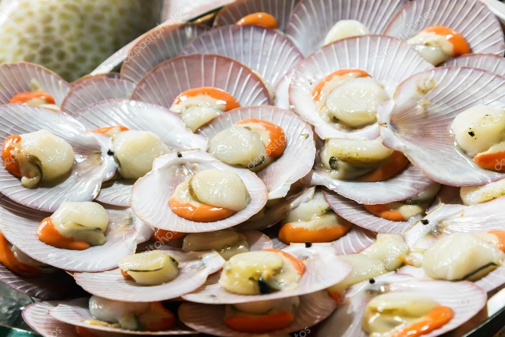 scallop shell on ice
