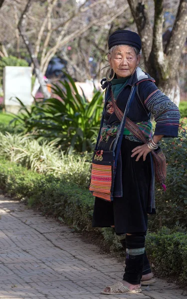 Frau Hmong Sapa, Lao Cai — Stockfoto