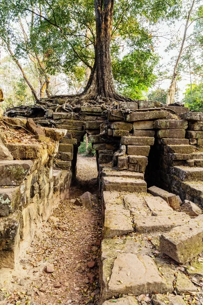 Angkor Wat, complejo de templos Khmer , —  Fotos de Stock