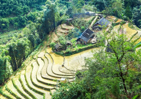 Casa emTerraced Rice Field hill — Fotografia de Stock