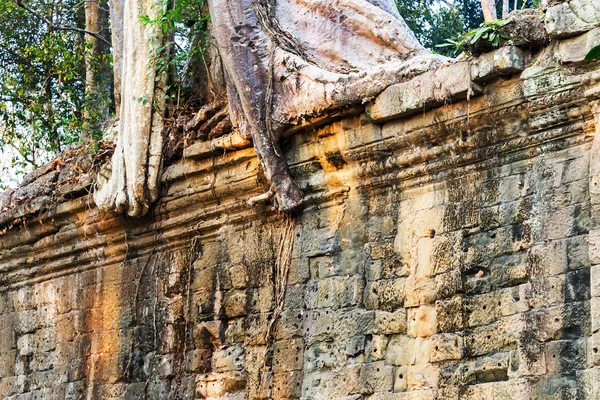 Khmer temple complex, Asia. — Stock Photo, Image