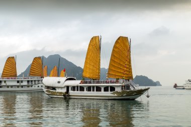 Ha Long Bay, Vietnam seyahat.