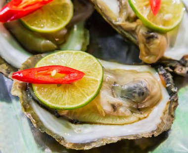 tarak shell buz üstünde