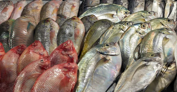 Peixe no mercado marítimo de exposição ao gelo . — Fotografia de Stock