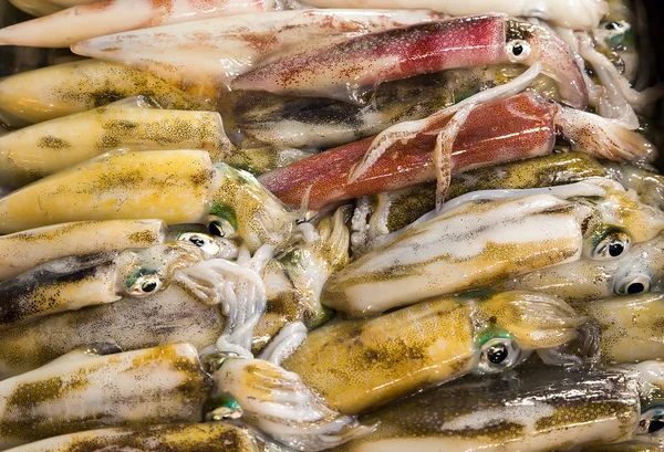 Färsk bläckfisk på havet marknaden — Stockfoto