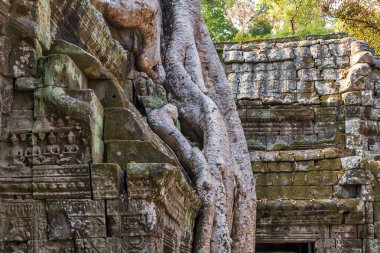Angkor Wat, Khmer tapınak kompleksi,